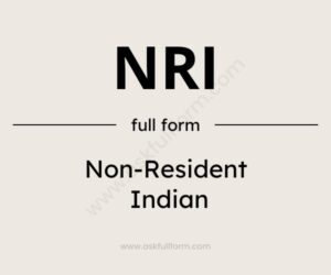 nri full form in English