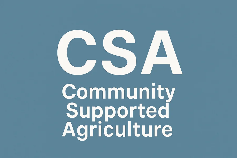 CSA Full Form