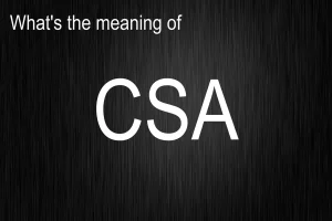 CSA Full Form