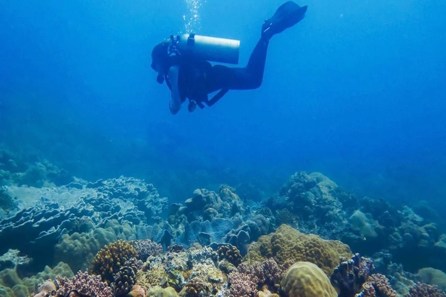 Why Eco Diving Is the Future of Scuba Diving