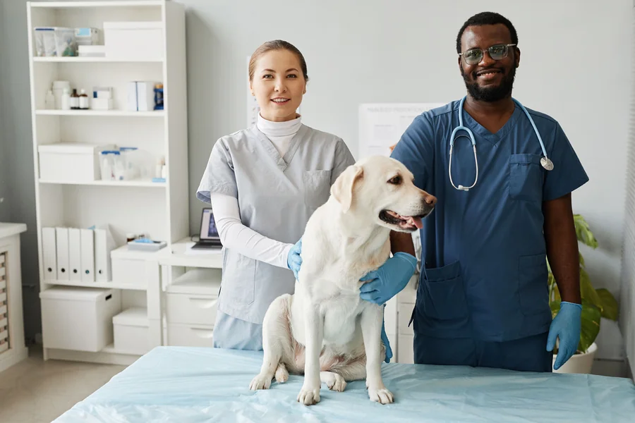 How Modern Veterinary Clinics Are Adapting to the Changing Needs of Pet Owners